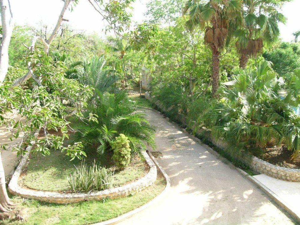 Casa Las Palmas Hotel Boutique San Andrés Extérieur photo